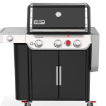 Genesis E-335 van Weber